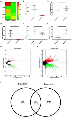 microRNA-Dependent Modulation of Genes Contributes to ESR1's Effect on ERα Positive Breast Cancer